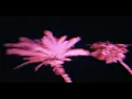 Playboi Carti & The Weeknd - LIE FOR YOU (prod. Vita)