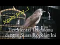 Download Lagu Tes Mental Trucukmu dengan ini jika Joss,pancingan trucukan,pancingan cucak rowo