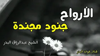 الأرواح جنود مجندة الشيخ عبدالرزاق البدر حفظه الله 
