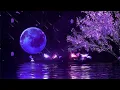 SLEEP INSTANTLY ★︎ Relaxing music to reduce anxiety and help you sleep well ★︎ Meditation