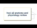 HESI A2 Anatomy and Physiology Review 2026 Complete Practice Exam Questions and Answers Study Guide
