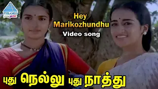 pudhu nellu pudhu naathu tamil movie songs hey marikozhundhu video song sukanya ilayaraja