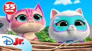 SUPERKITTIES: ¡Los Superkitties más salvajes! 🐱 | RECOPILACIÓN | @DisneyJuniorES