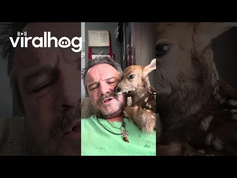 Fawning Over My New Friend Georgie || ViralHog