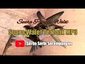 Lagu SUARA WALET TERBAIK MP3