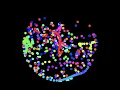 The Chaotic Path of Double Pendulums