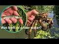 Download Lagu Met het schepnet op jonge snoek, keverlarven en mega krab