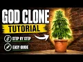 How to Get God Clones in Rust