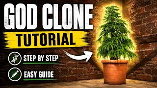 How to Get God Clones in Rust