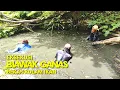Download Lagu Petualangan Ahmad kobar - pemburu biawak eps 472 MP3
