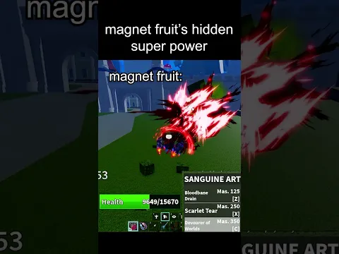 magnet fruit's hidden super power 🤔#roblox #bloxfruits