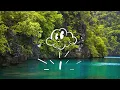 Ben&Ben - Leaves (Lyrics) feat.Young K