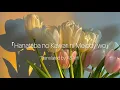 Download Lagu Hanataba no Kawari ni Melody wo | Shota Shimizu [Lyrics-Jpn | Rom | Mm]