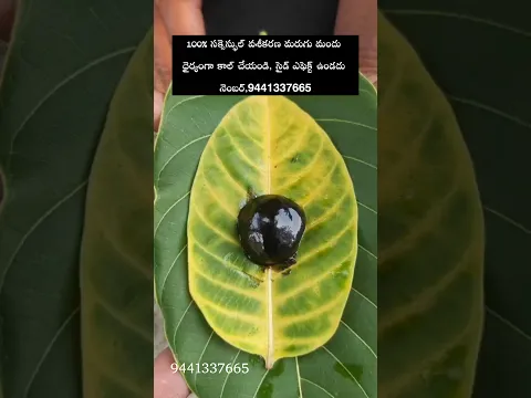 #godsword #astrology #weather #ramayanam #bhagavat #geetha #realgods #truestory #quotations