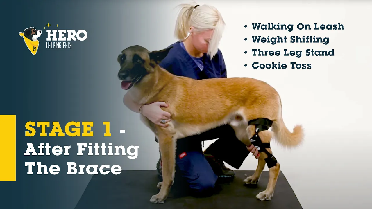 Exercises (Stage 1)