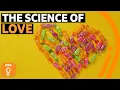 Download Lagu Love and lust - is there a difference? | BBC Ideas