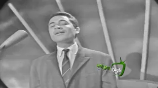 ماهر العطار   عمري ما حجري وراك دندنها