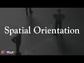 Spatial Orientation Subtest Visuospatial Ability