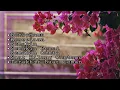 Download Lagu Siti Sarah | Playlist