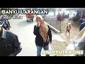 Download Lagu ANDI PUTRA 1 Banyu Larangan Voc Rina Live Bongas Pentil Tgl 23 Mei 2022