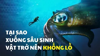 Download ĐỘNG VẬT KHỔNG LỒ DƯỚI ĐÁY ĐẠI DƯƠNG | Thiên Nhiên Kỳ Thú MP3