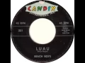 The Beach Boys - Surfin (2016 Mono Remaster By TheOneBeachBoyManiac)