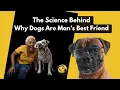 The Science Behind Why Dogs Are Man s Best Friend