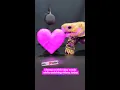 Download Lagu happy almost valentine’s day to your ears ❤️ #asmr #urwelcome #valentines