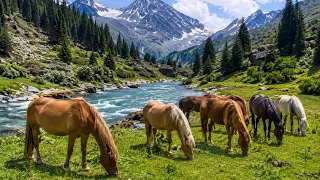 🐎 Caballos Libres en un Paisaje de Ensueño