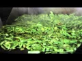 Tijuana s Tacos - Nopalitos