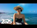 Download Lagu Summer Songs 2025 - Chill Tropical House for a Happy Morning 🌿Maroon 5, Ed Sheeran, Dua Lipa