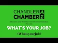 What s Your Job - Alamo Drafthouse