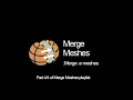 Merge edges from two meshes