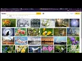10 Minute Tip Reverse Image Searching