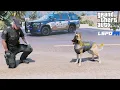 GTA 5 LSPDFR Blaine County Sheriff K9 Unit Live Patrol