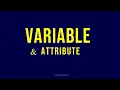 Variable and Attribute