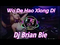 Download Lagu Wo De Hao Xiong Di 我的好兄弟 Remix By Dj Brian Bie