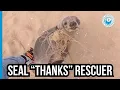 Baby seal THANKS his rescuers