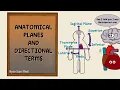 Anatomical Planes Directional Terms Anatomy Terms Anatomy Doodles