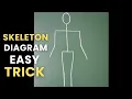 human skeleton drawing how to draw a skeleton skeleton diagram skeleton system drawing