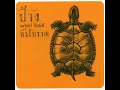แก้วตาขาร็อค - Pang Nakarin