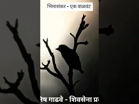 भीमाशंकर एक-वाळवंट ! सह्याद्री विकला माझा! महाराष्ट्र विकला माझा! स्वाभिमान विकला माझा #bhimashankar