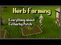 Catherby Patch Farming Upgrade Guide