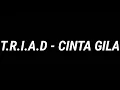 Download Lagu T.R.I.A.D - Cinta gila ~ Lyric music indonesia