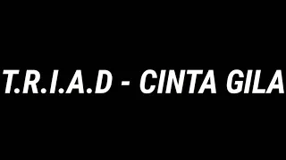 Download T.R.I.A.D - Cinta gila ~ Lyric music indonesia MP3