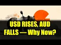 Weakens as USD Strengthens What s Next