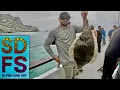 Catalina Island California Halibut Fishing on The Pursuit Full Day Sportfishing Boat 22nd St Landing