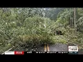 Severe weather downs trees knocks out power in north Georgia