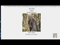 Big Cat Classifier fastai Project Lesson 1 Deployed in Python Tkinter Deep Learning