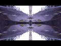Boards of Canada : Blood in The Labyrinth